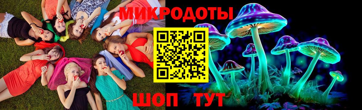 Зима  Галлюциногенные грибы MAGIC MUSHROOMS  Вход с VPN 