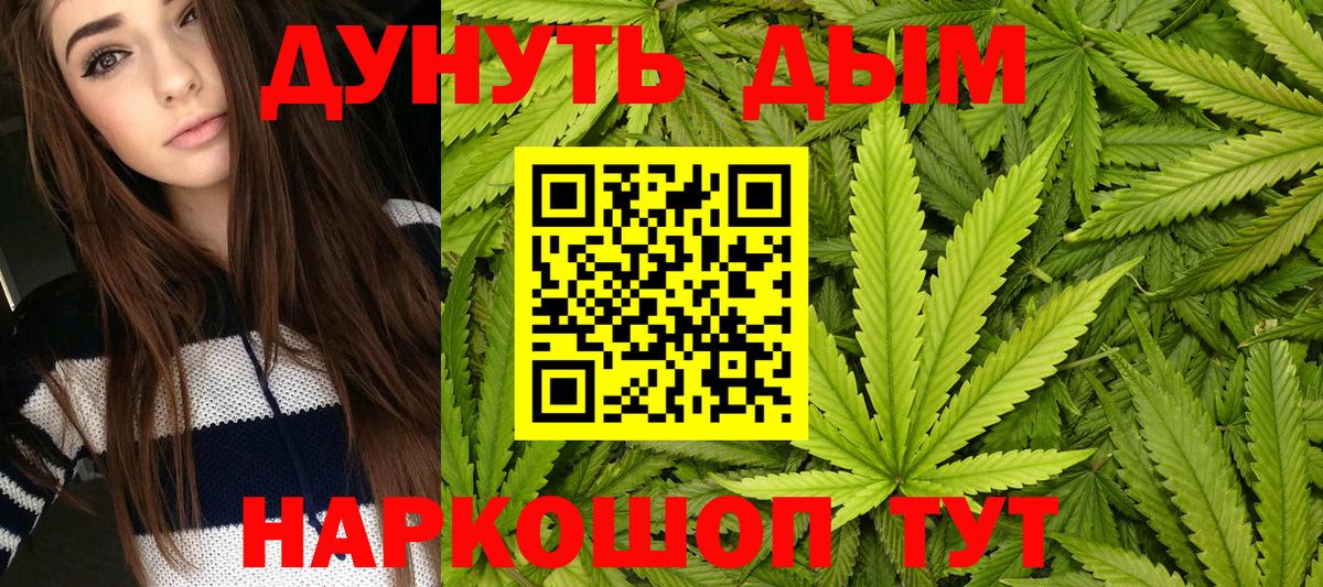 Канабис планчик  Вход с VPN  Марихуана сатива  Зима 
